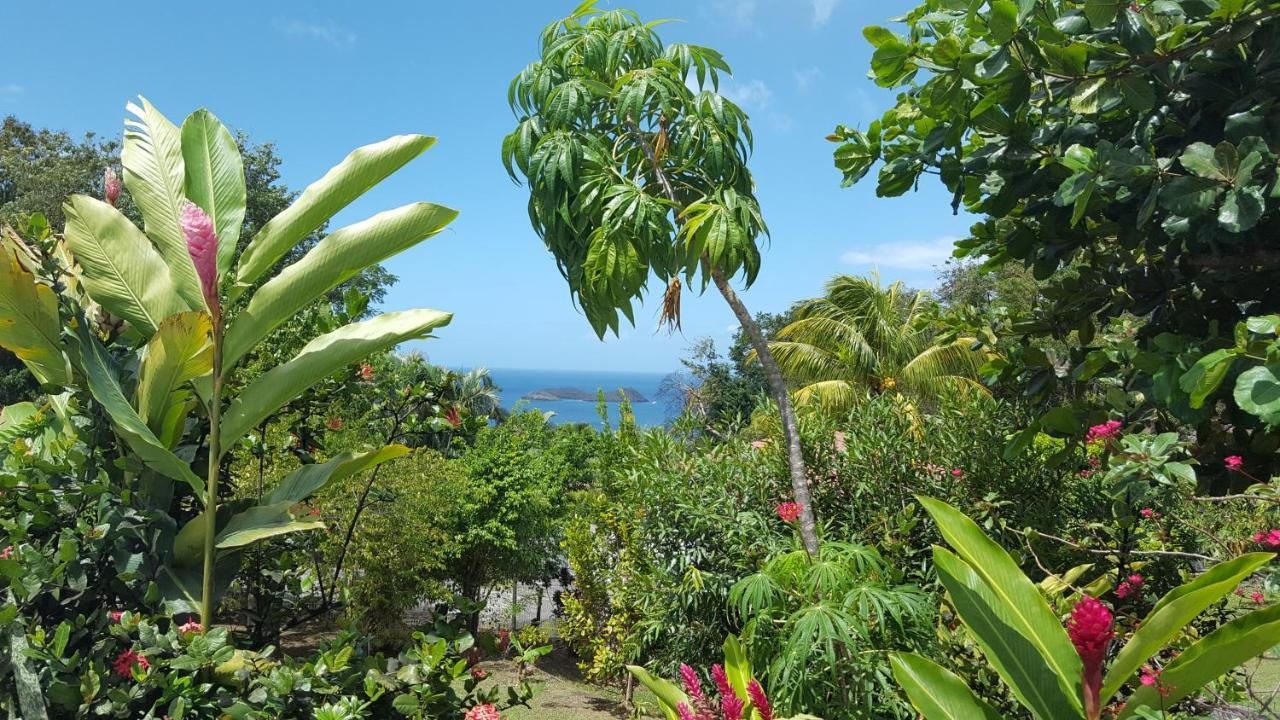 Vacances Bien Etre Guadeloupe Bouillante Eksteriør bilde