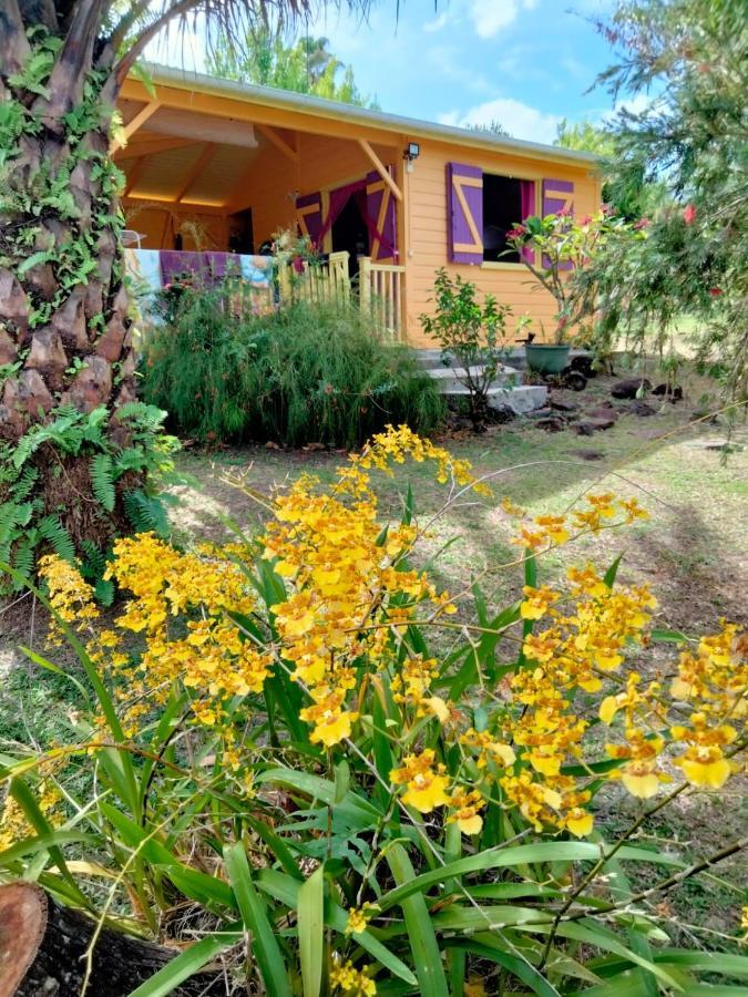 Vacances Bien Etre Guadeloupe Bouillante Eksteriør bilde