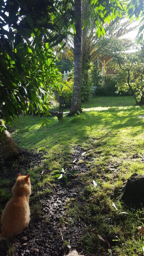 Vacances Bien Etre Guadeloupe Bouillante Eksteriør bilde