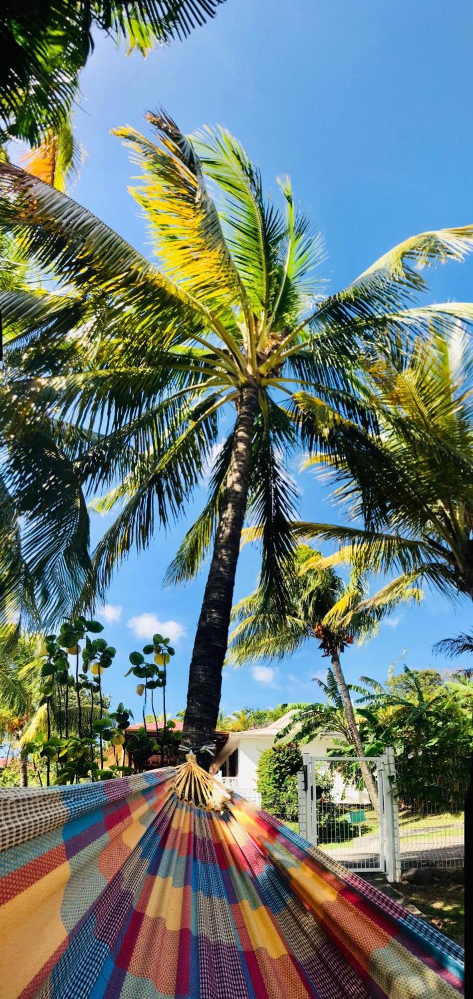 Vacances Bien Etre Guadeloupe Bouillante Eksteriør bilde